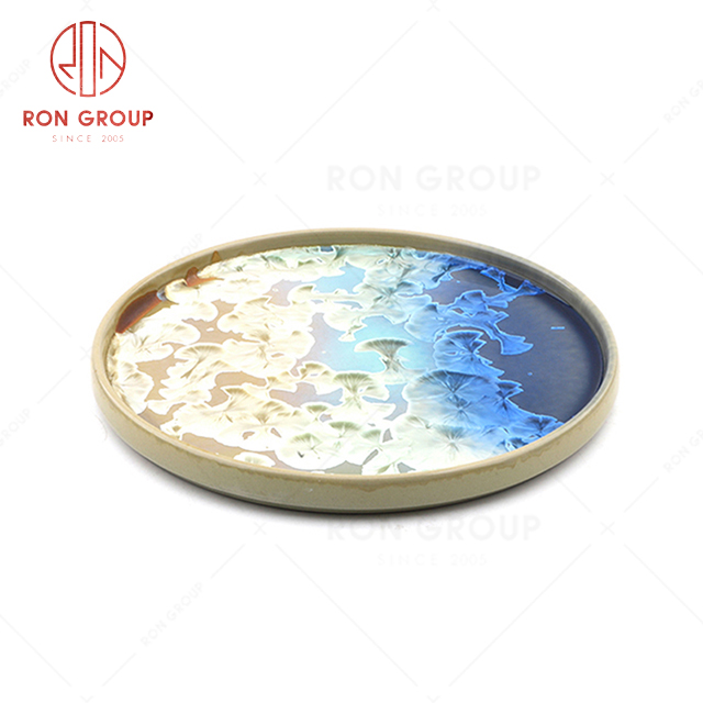 RN0660P00856 Hot Sale High Quality Exquisite and Practical Ceramic Round Plate