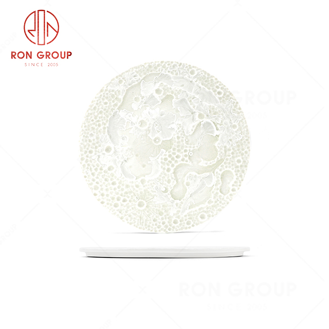 RN0660P00106 Wholesale Unique Design Elegant Ceramic Planetary  Plate