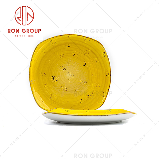 2020 New design Ginger enamel square bone china dinnerware shallow square ceramic plate