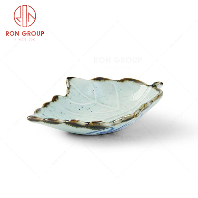 RNPCS024HL Hot Selling Elegant Porcelain Dish