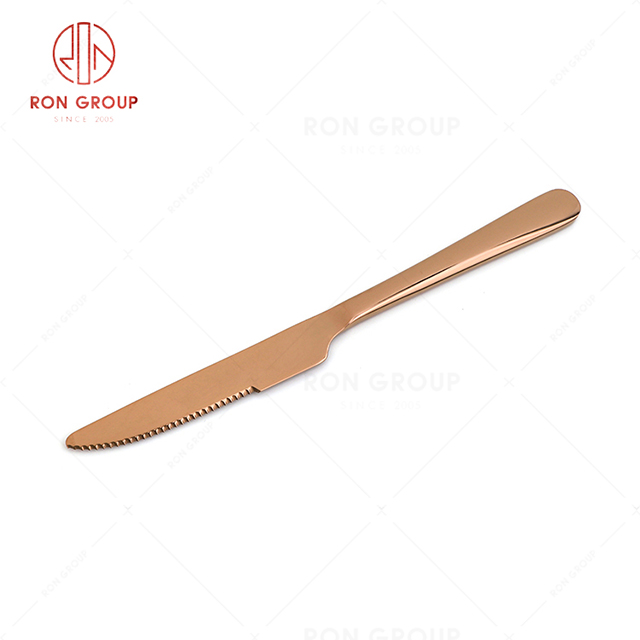 RN0178E00307 Hot Sale High Quality Stainless Steel Table Knife